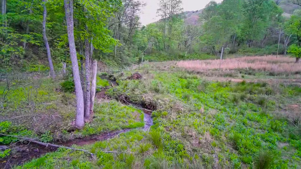 3325 Pack Mountain Road, Murphy, NC 28906 Listing Photo  64