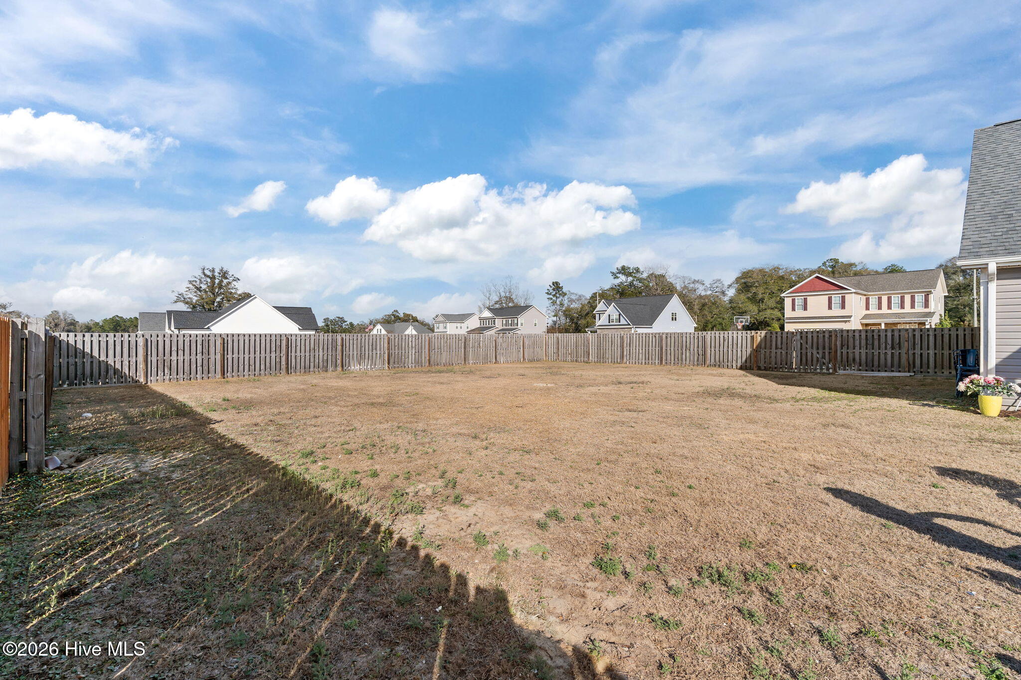 100558156 | Photo 48