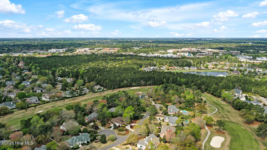 100565103 | Photo 58