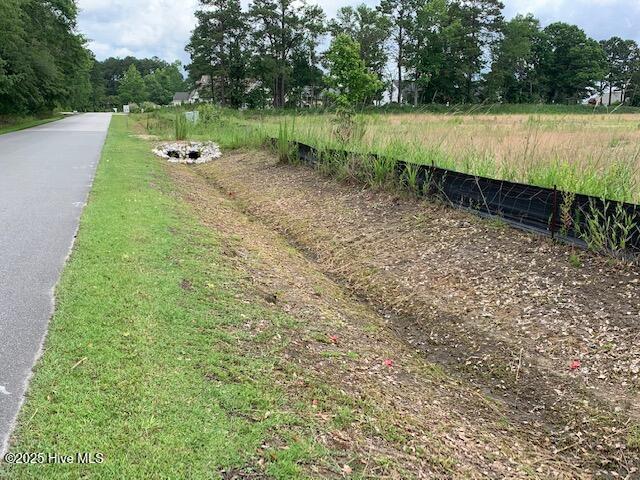 100512196 | Photo 21