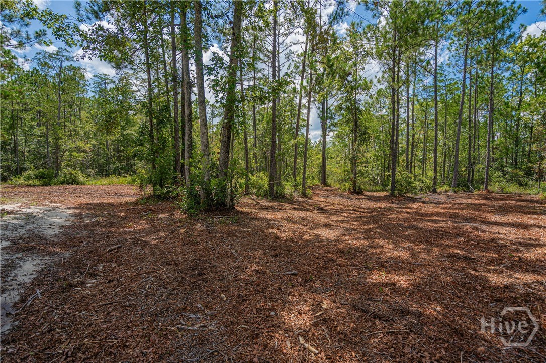 Homes for sale in Guyton, GA | 0 Fourth Ext, Guyton, GA 31312 | MLS# SA335231