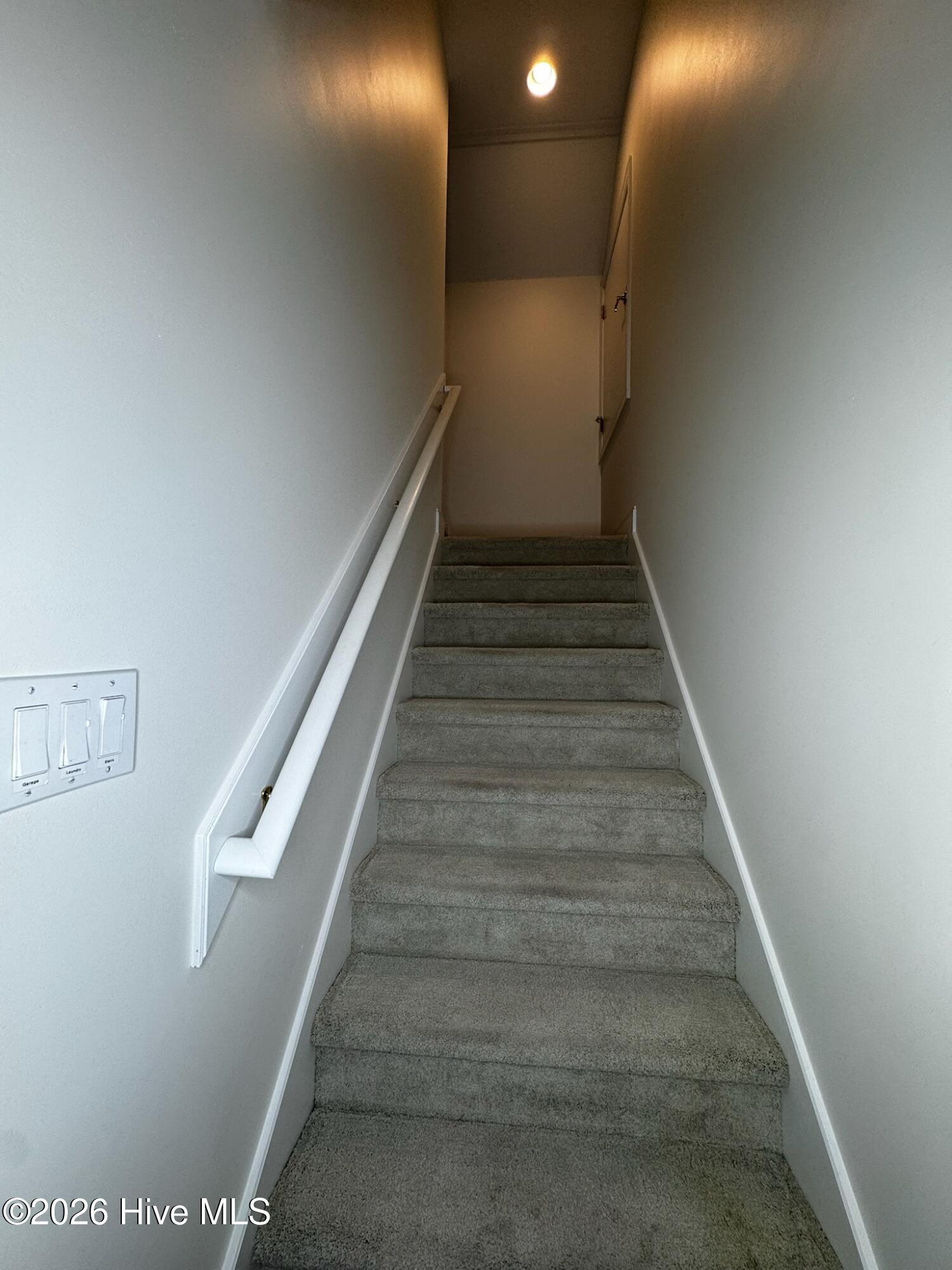 100558874 | Photo 31