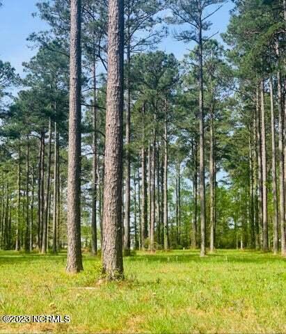 Homes for sale in Arapahoe, NC | 52 Corolla Loop Rd, Arapahoe, NC 28510 | MLS# 100395346