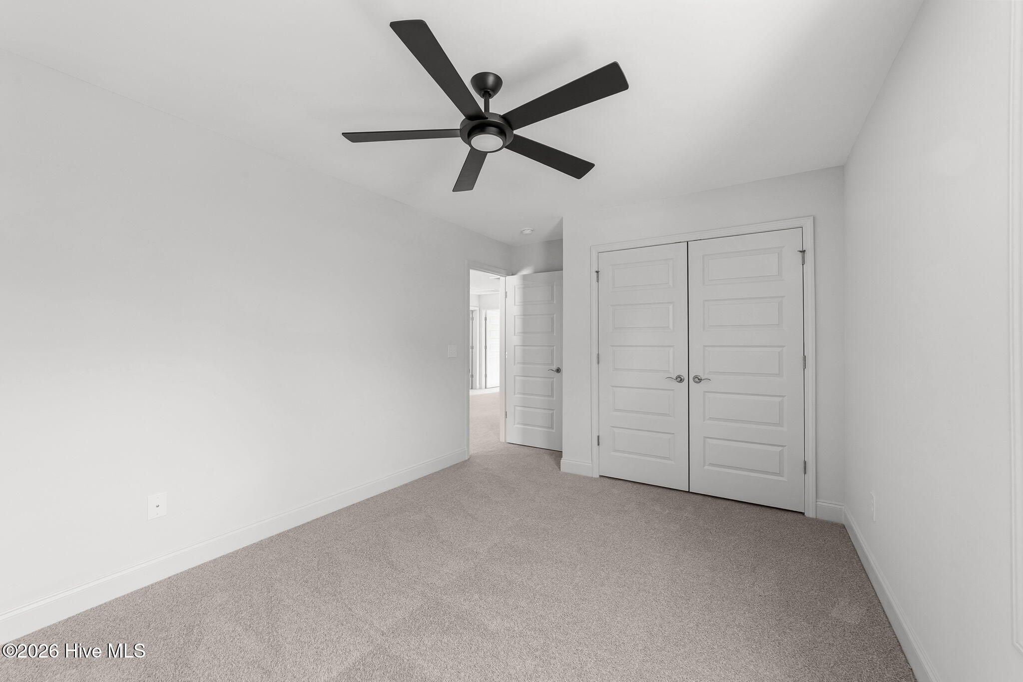 100528698 | Photo 24