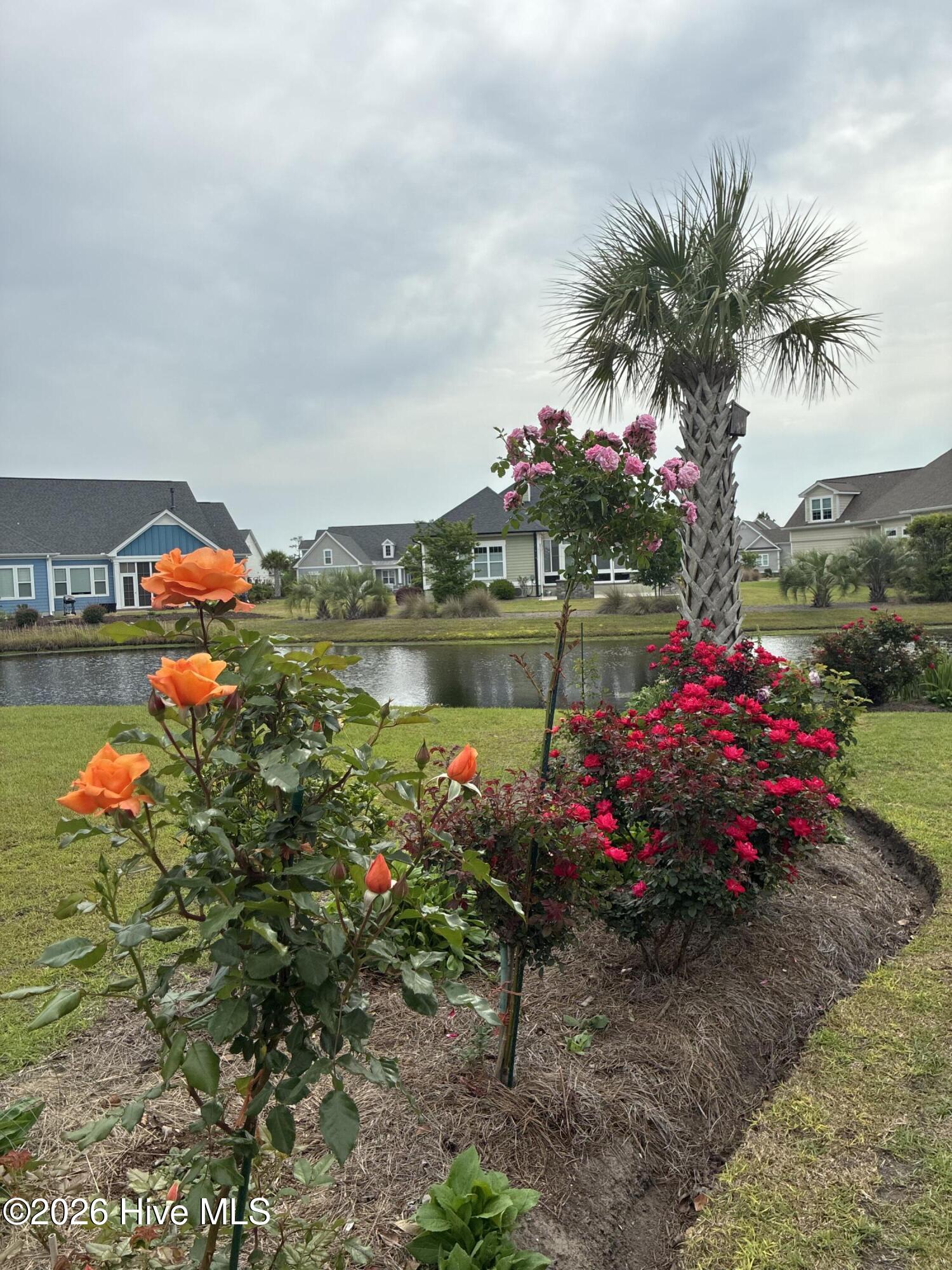 100560288 | Photo 117