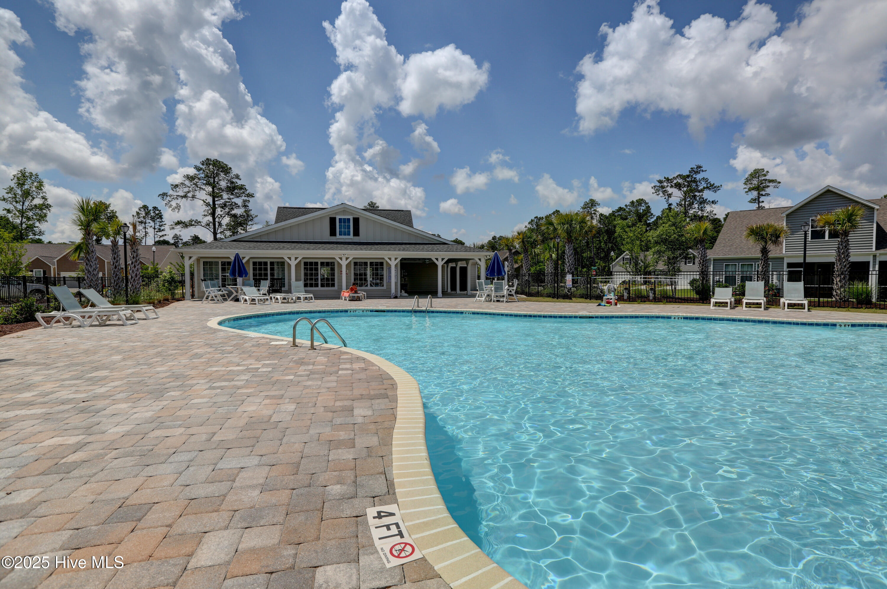 100539282 | Photo 29