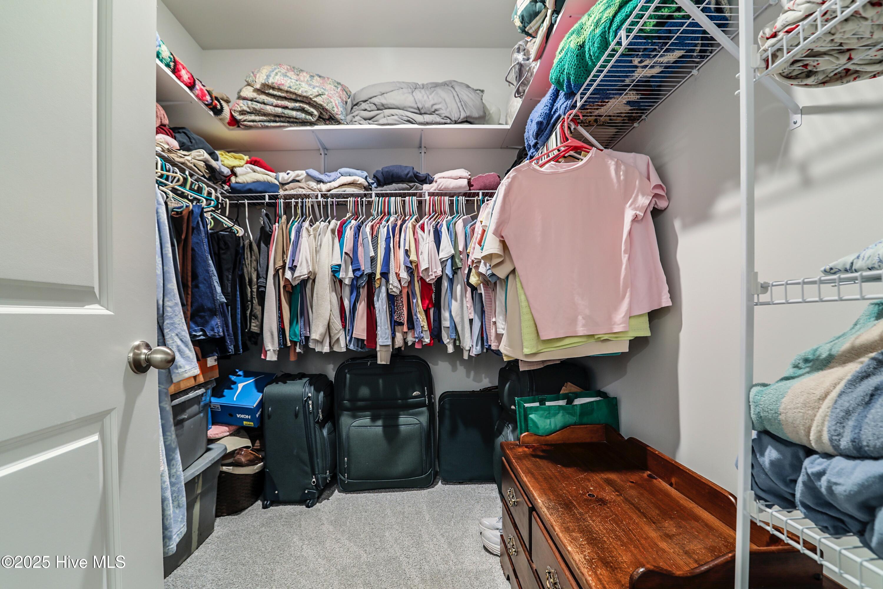 100523851 | Photo 17