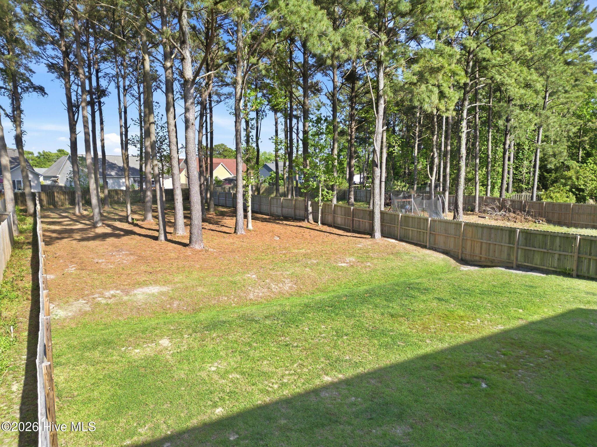 100570227 | Photo 51