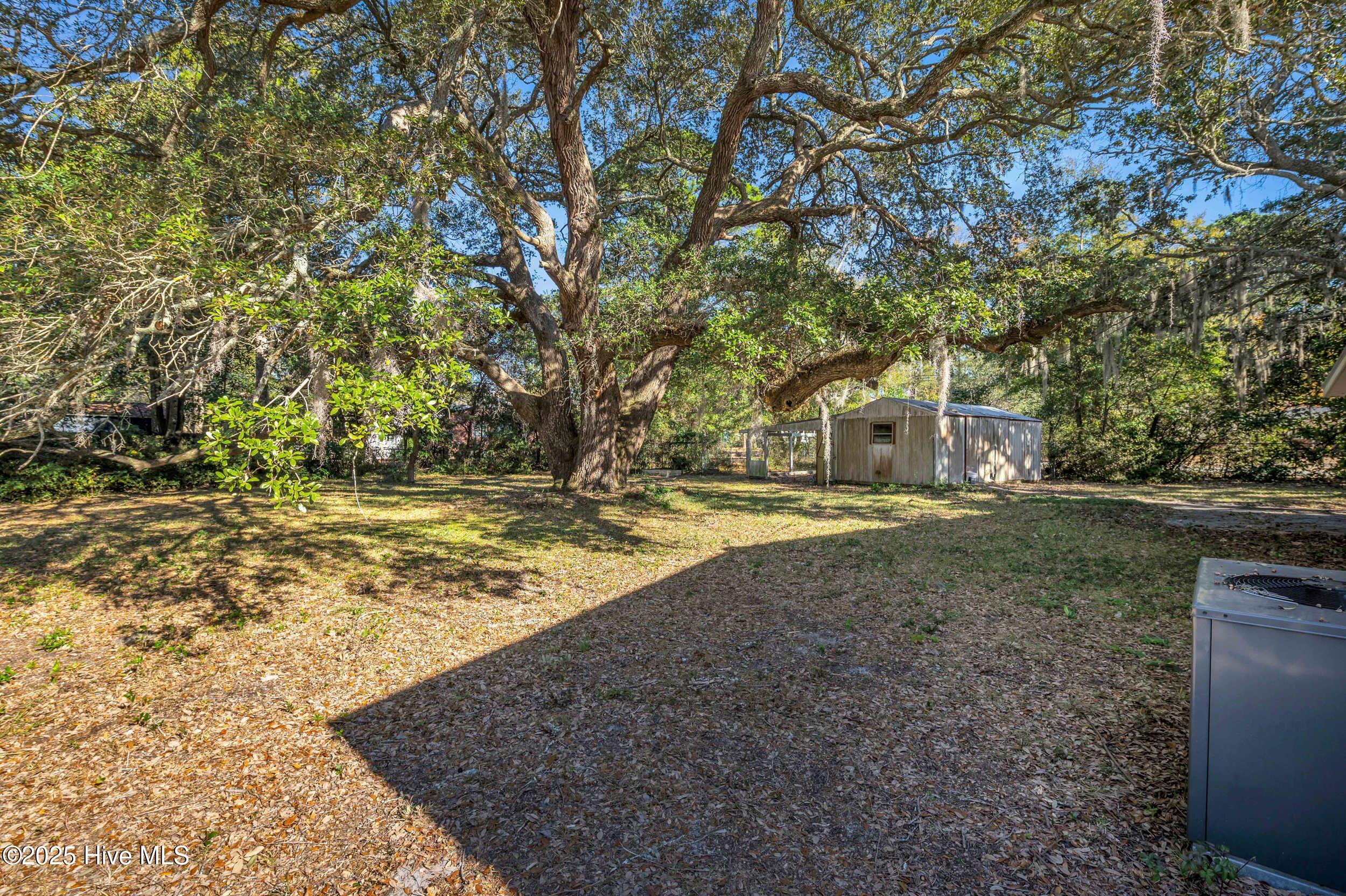 100532133 | Photo 48