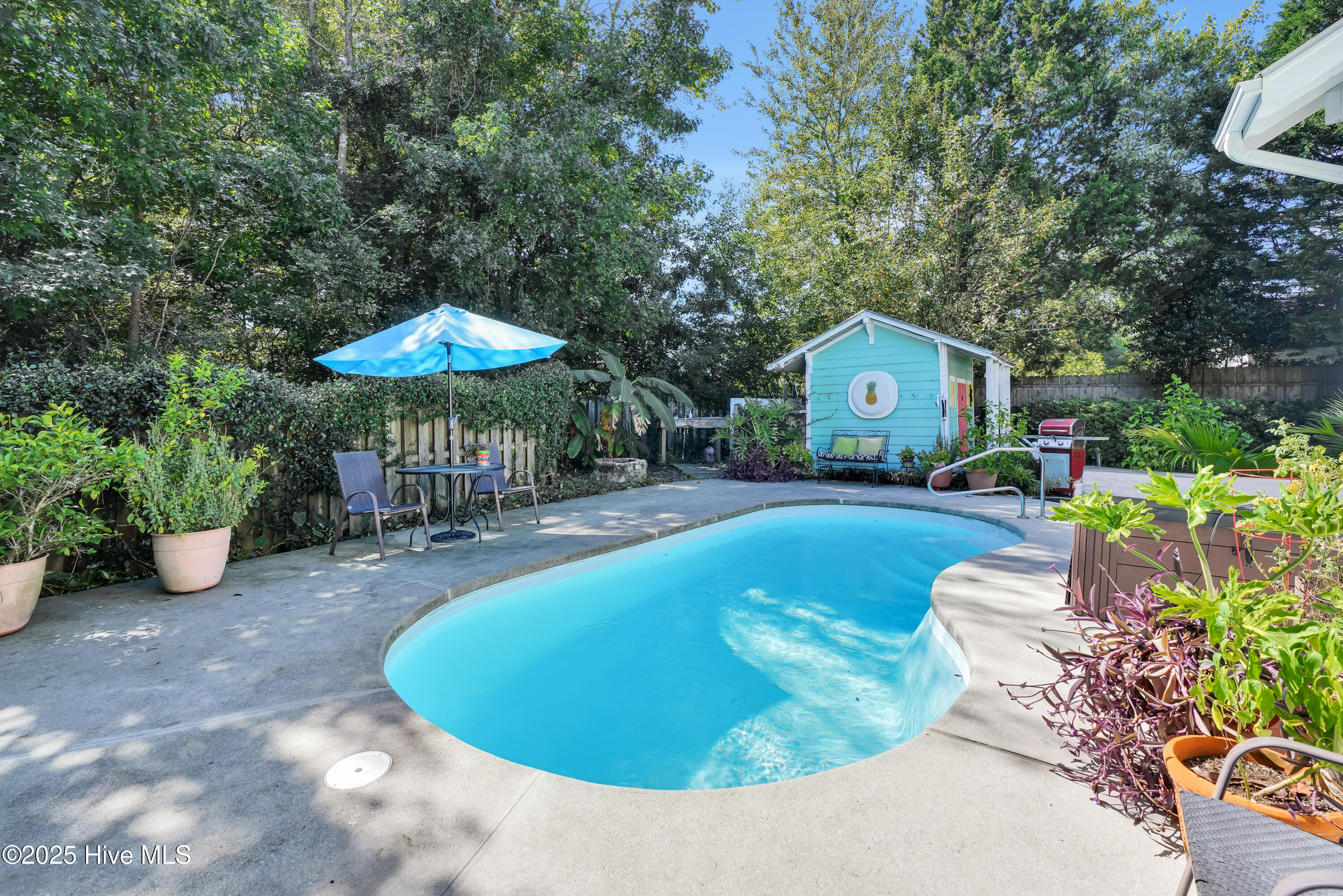 100535392 | Photo 24