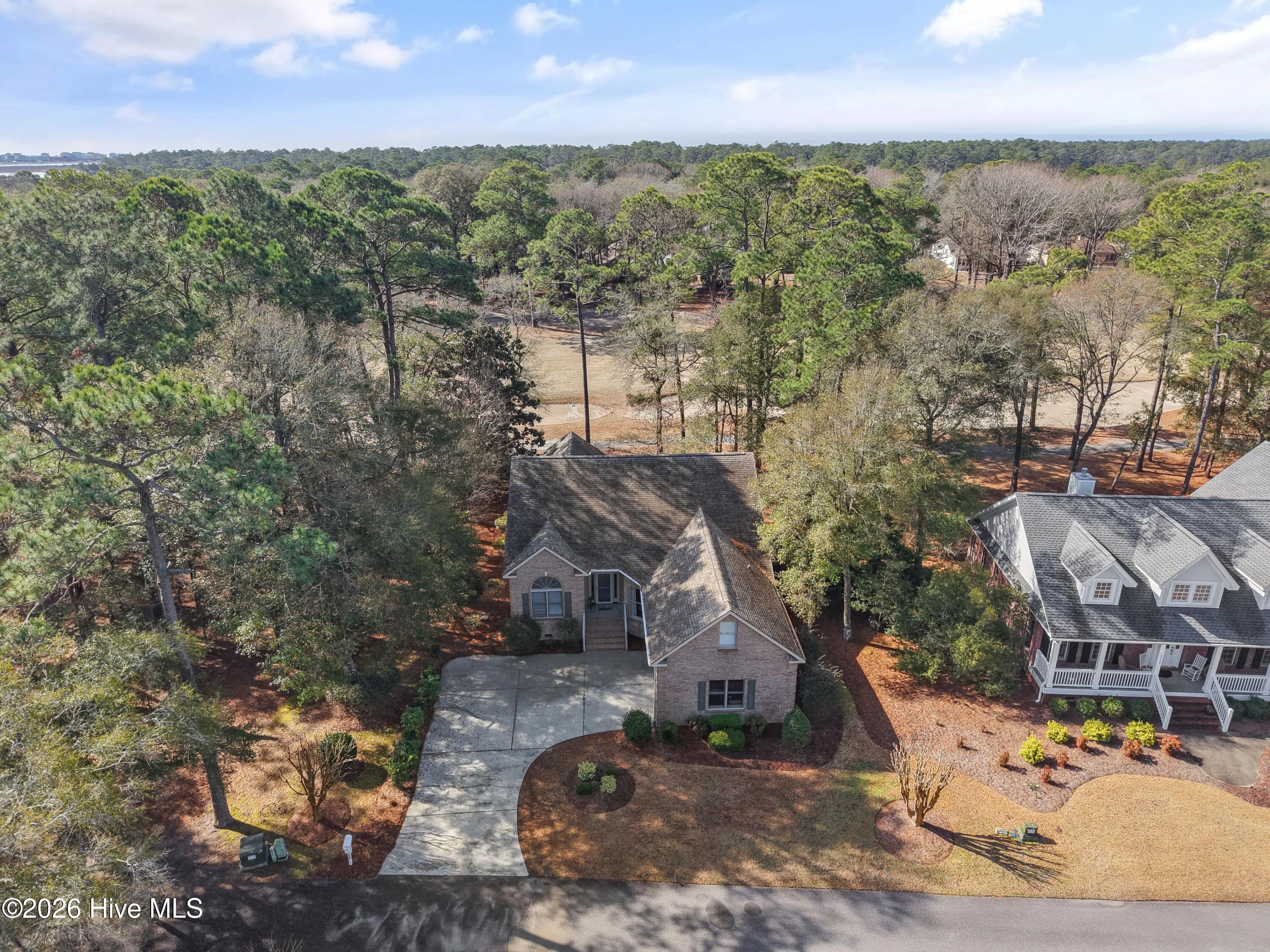 100558651 | Photo 51