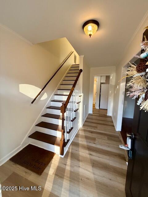 Homes for sale in Newport, NC | 179 Powell St, Newport, NC 28570 | MLS# 100537806