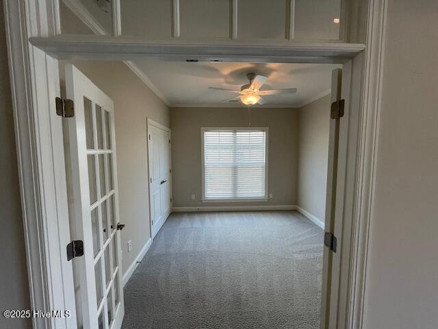 100546789 | Photo 10