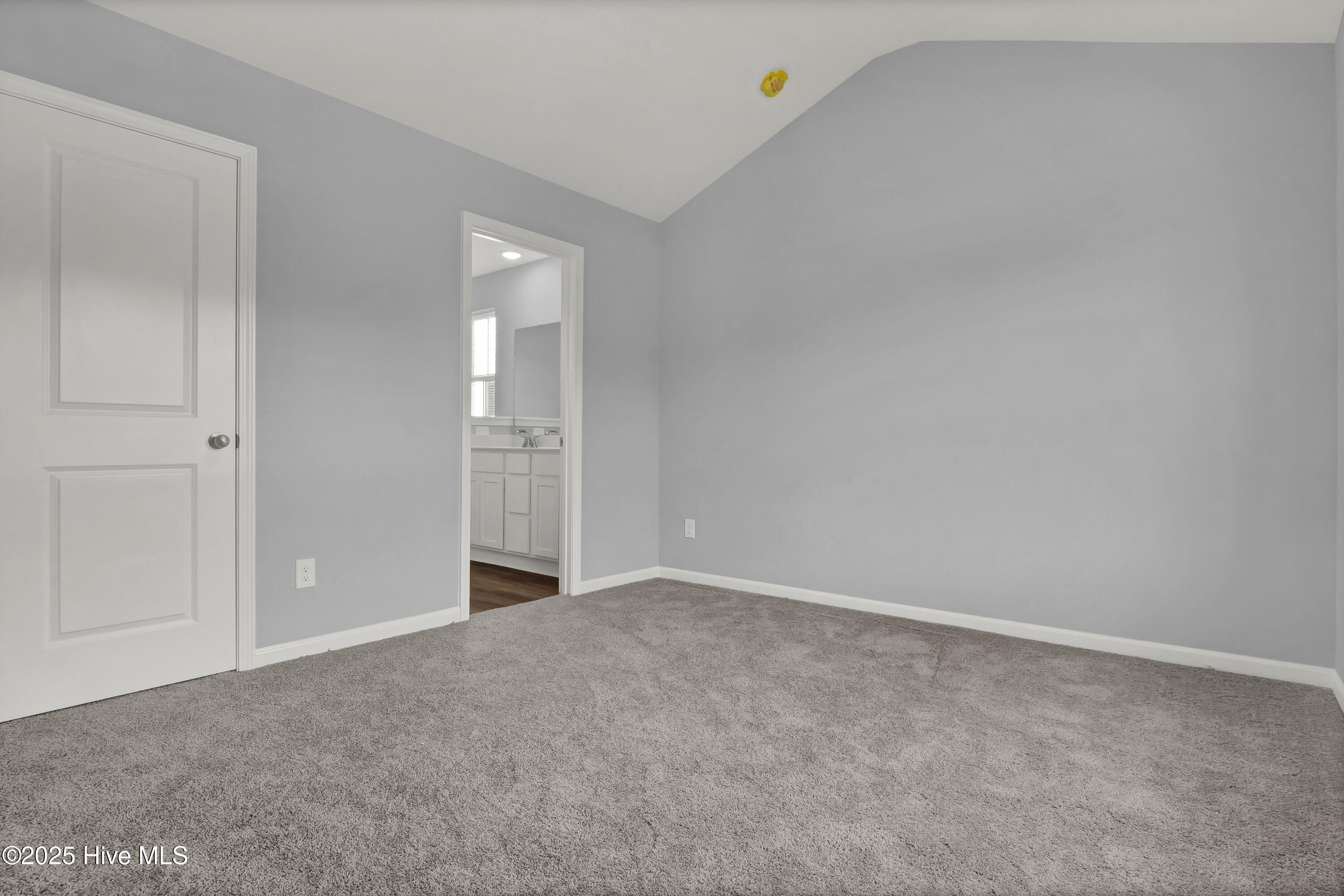 100524850 | Photo 24