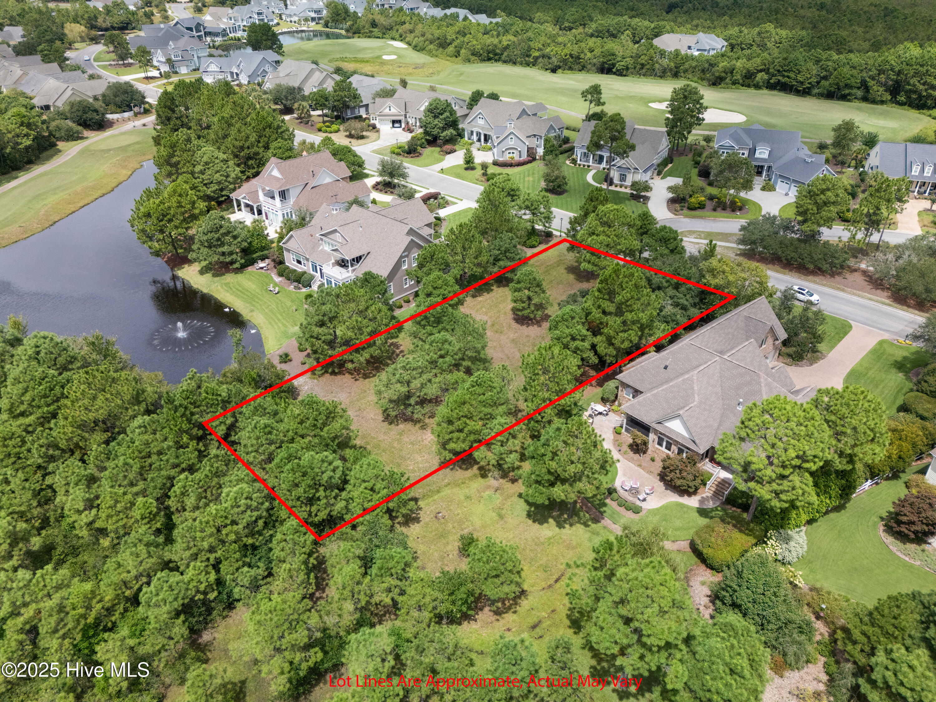 100569790 | Photo 22