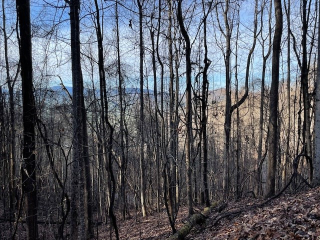Exterior photo of Lot 73 Hidden Treasure, Murphy, NC 28906. MLS: 98543742