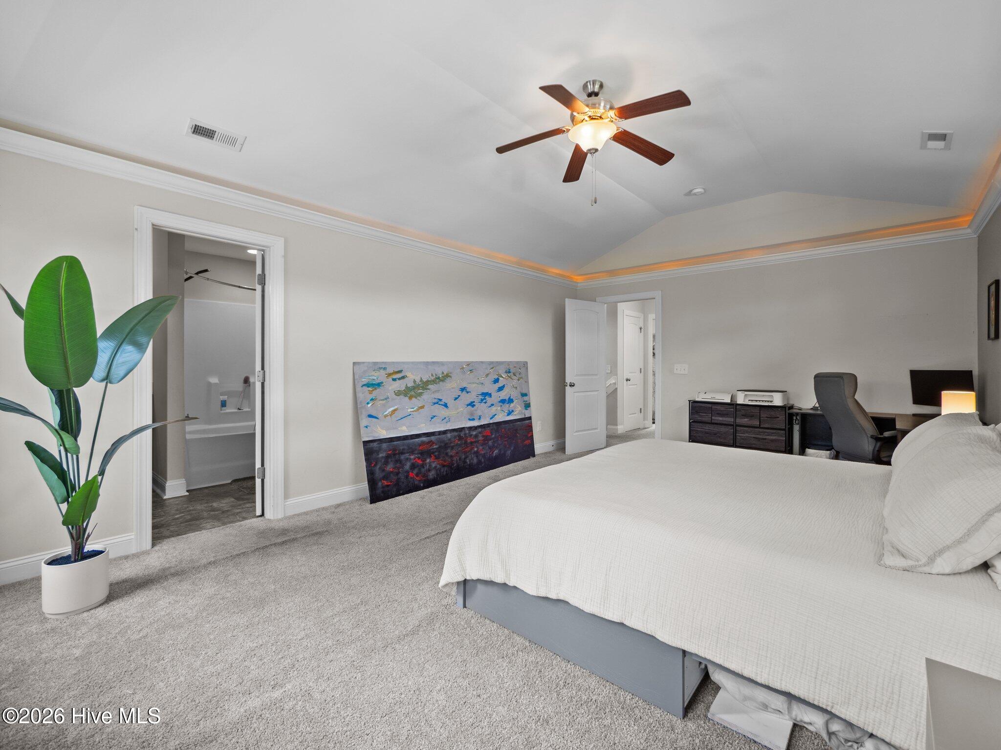 100566345 | Photo 14