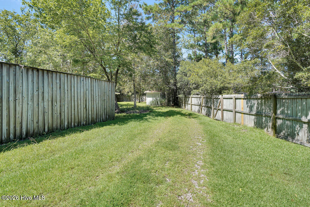 100557409 | Photo 32