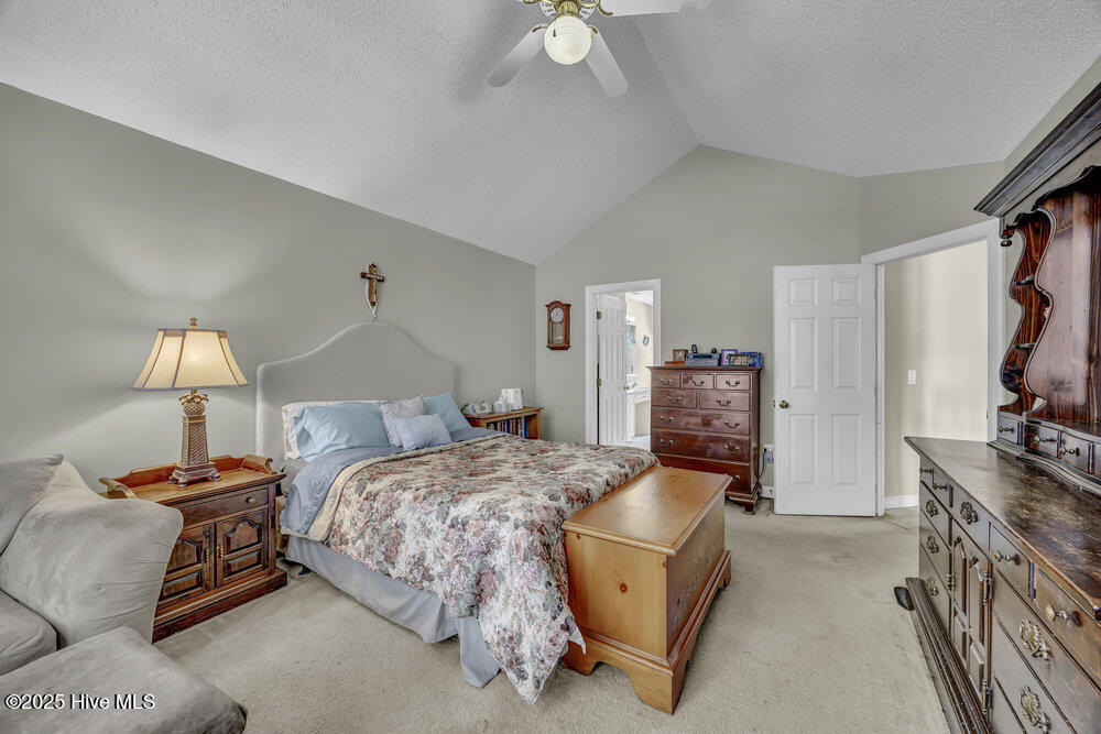 100537017 | Photo 18