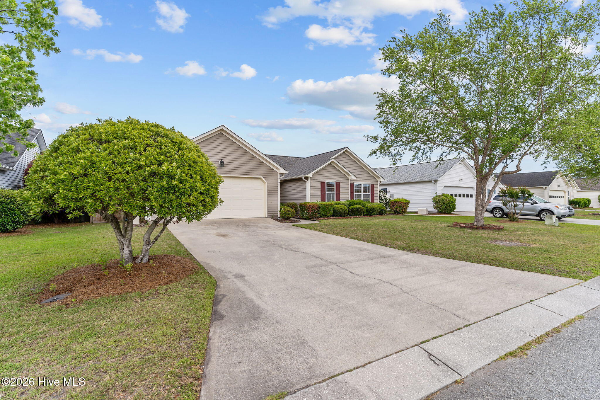 100569339 | Photo 41