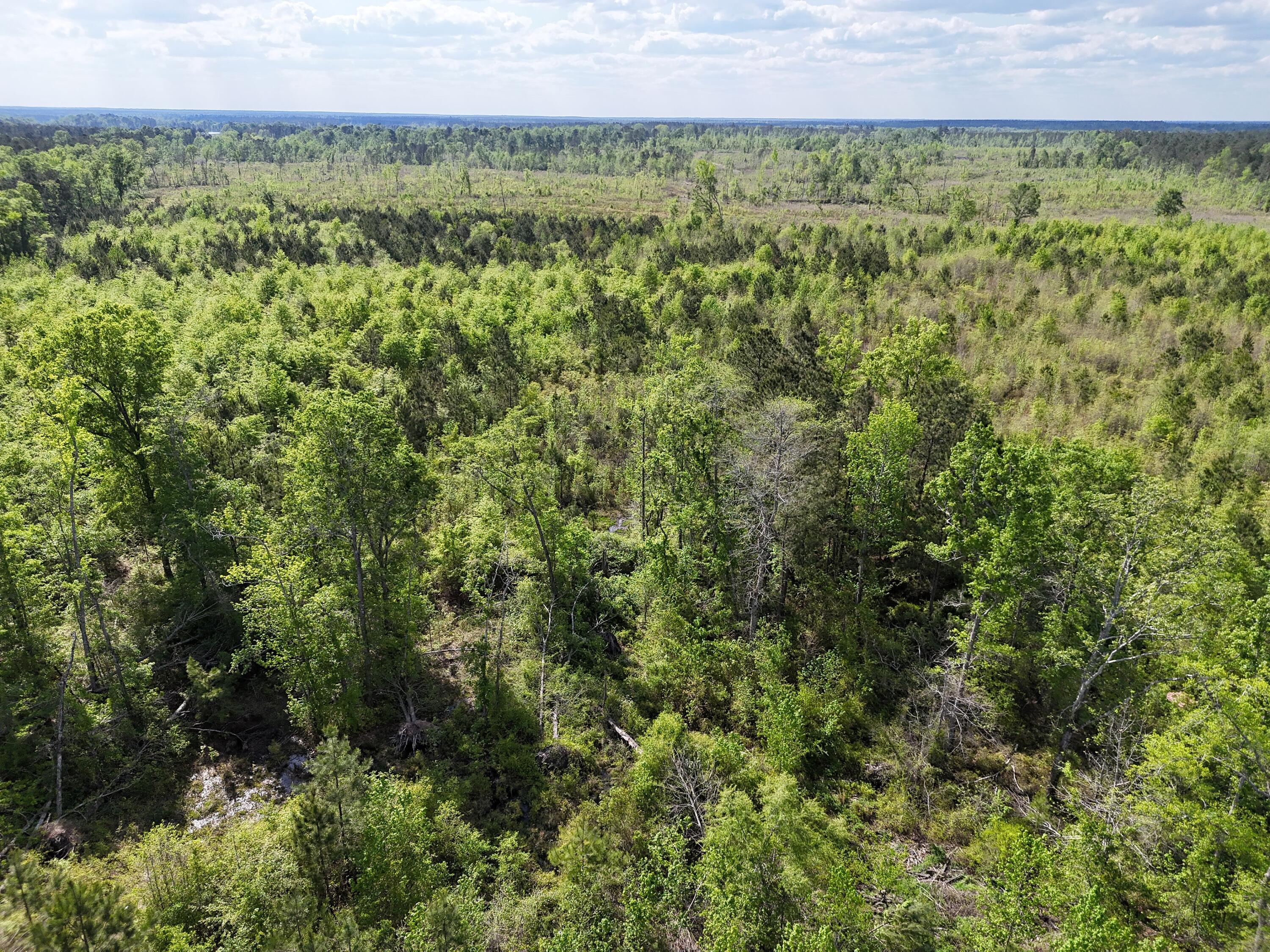 DJI_20250410043322_0002_D