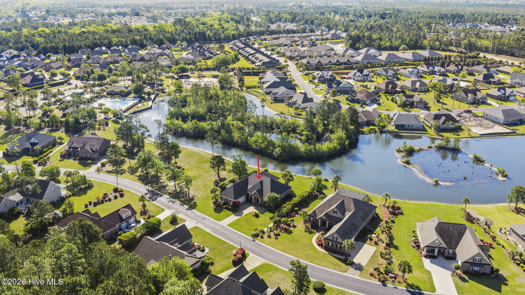 100568183 | Photo 47