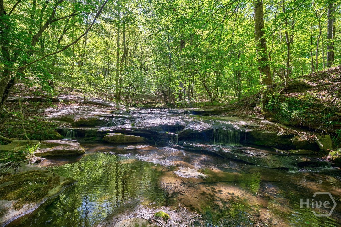 0 Elma G Miles Parkway Parkway, Hinesville, GA, 31313