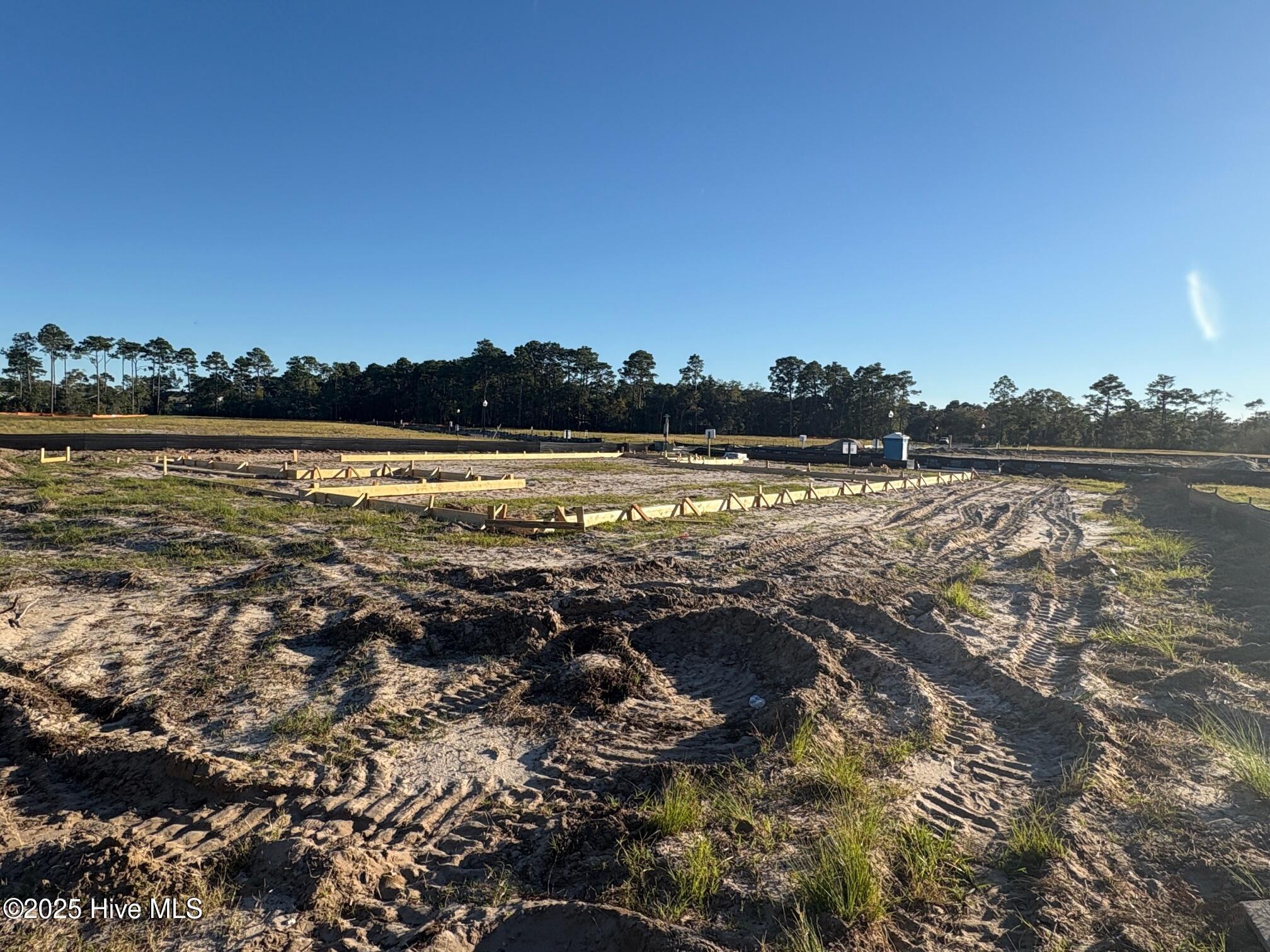 100531116 | Photo 20