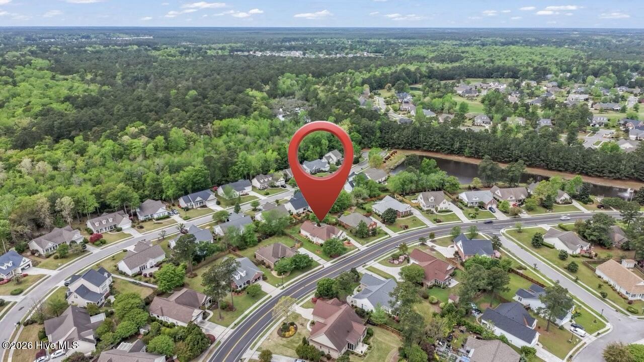 100554989 | Photo 69