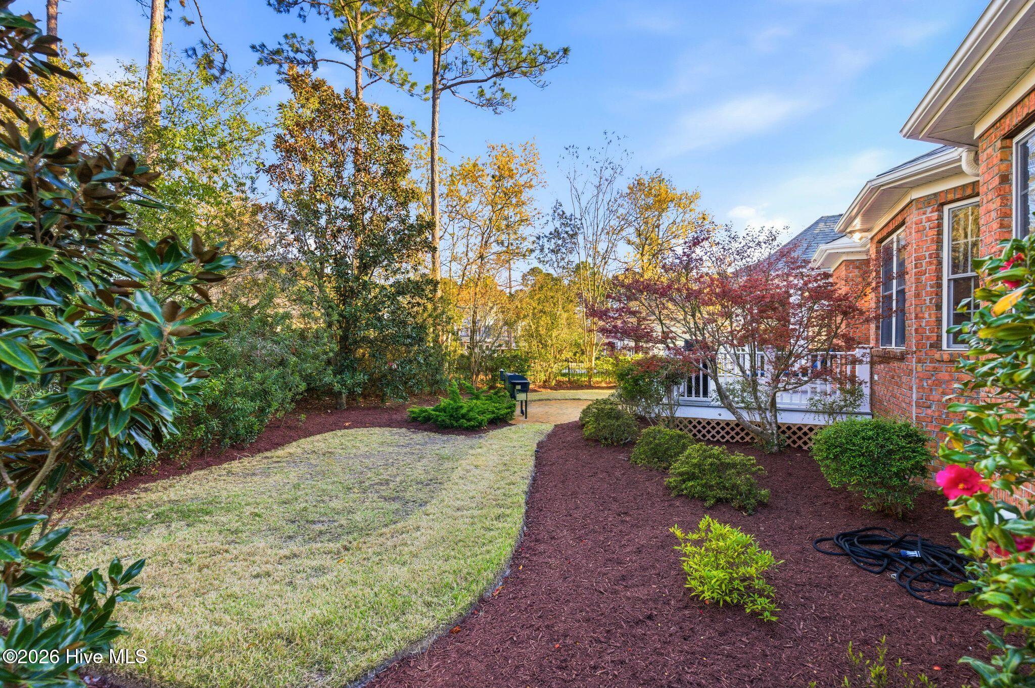 100564918 | Photo 69