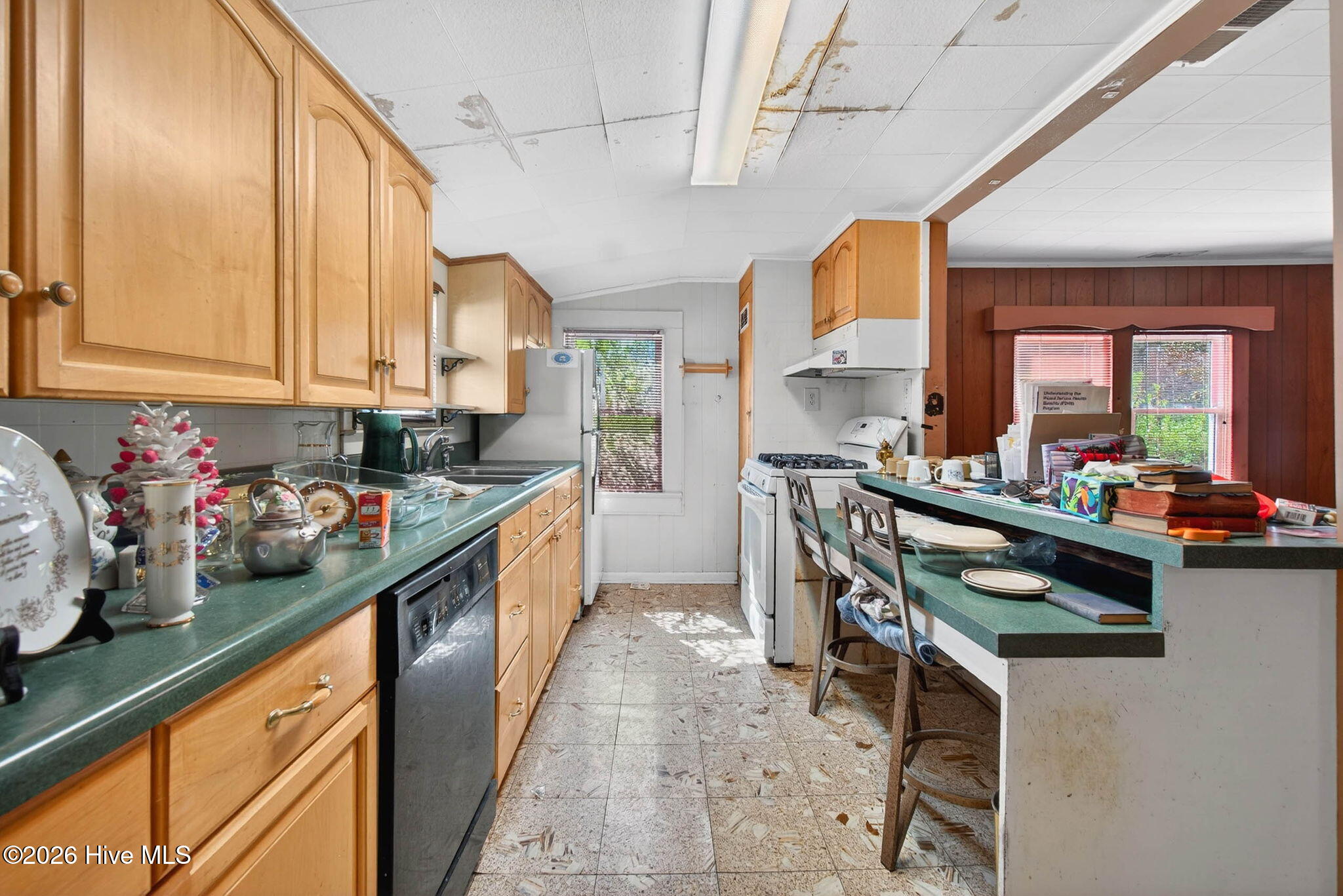 100560729 | Photo 27