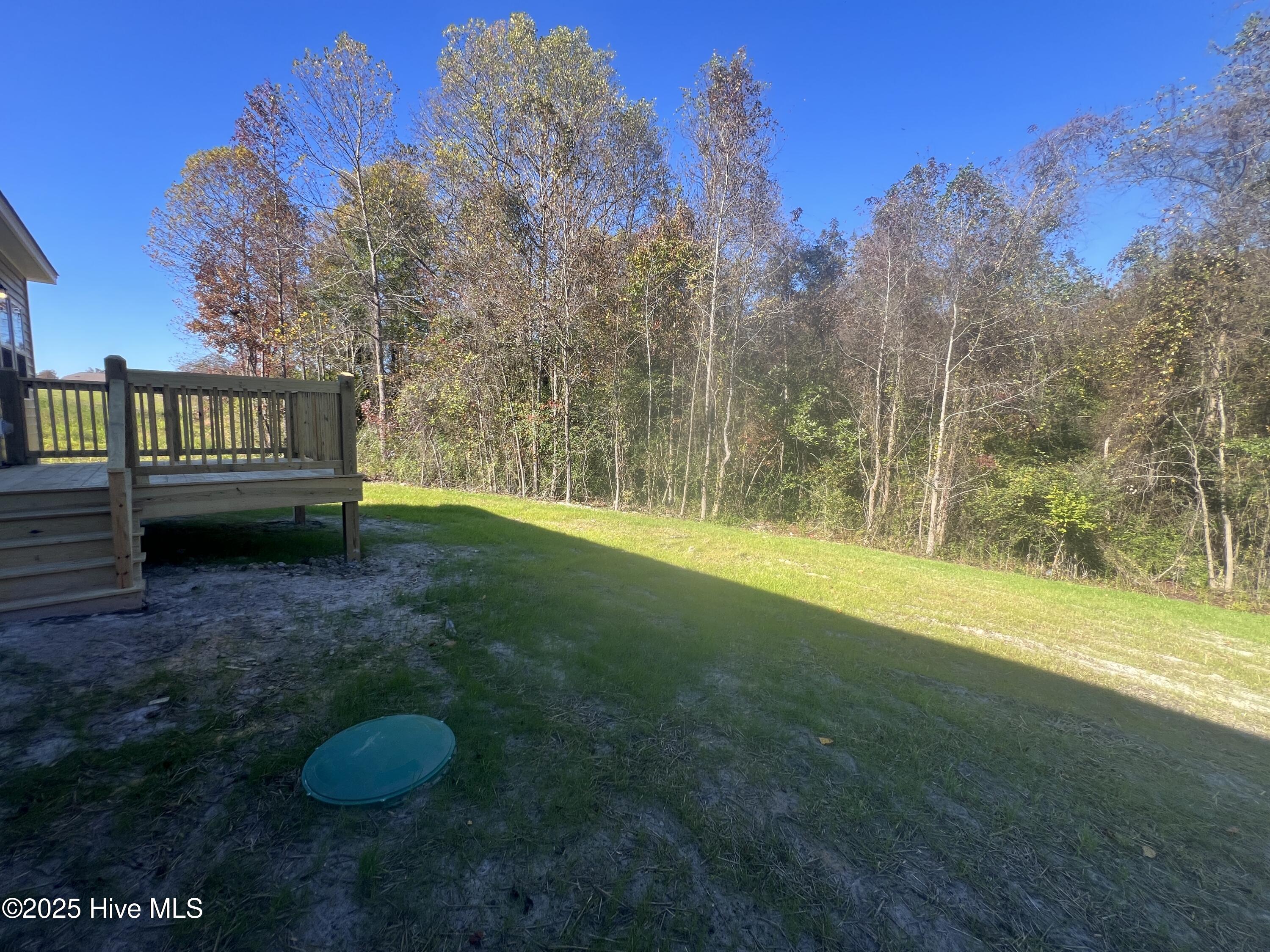 133 Dallas Drive,Beulaville