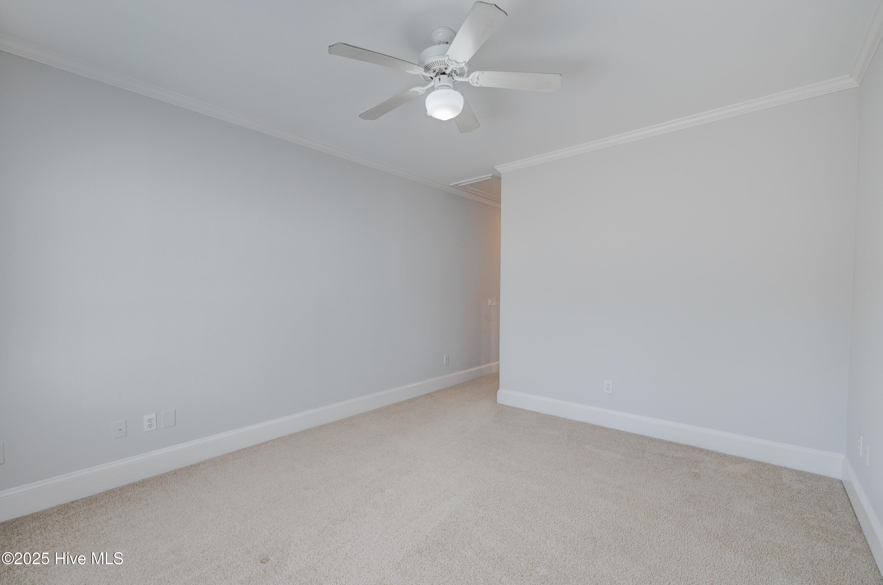 100534923 | Photo 24