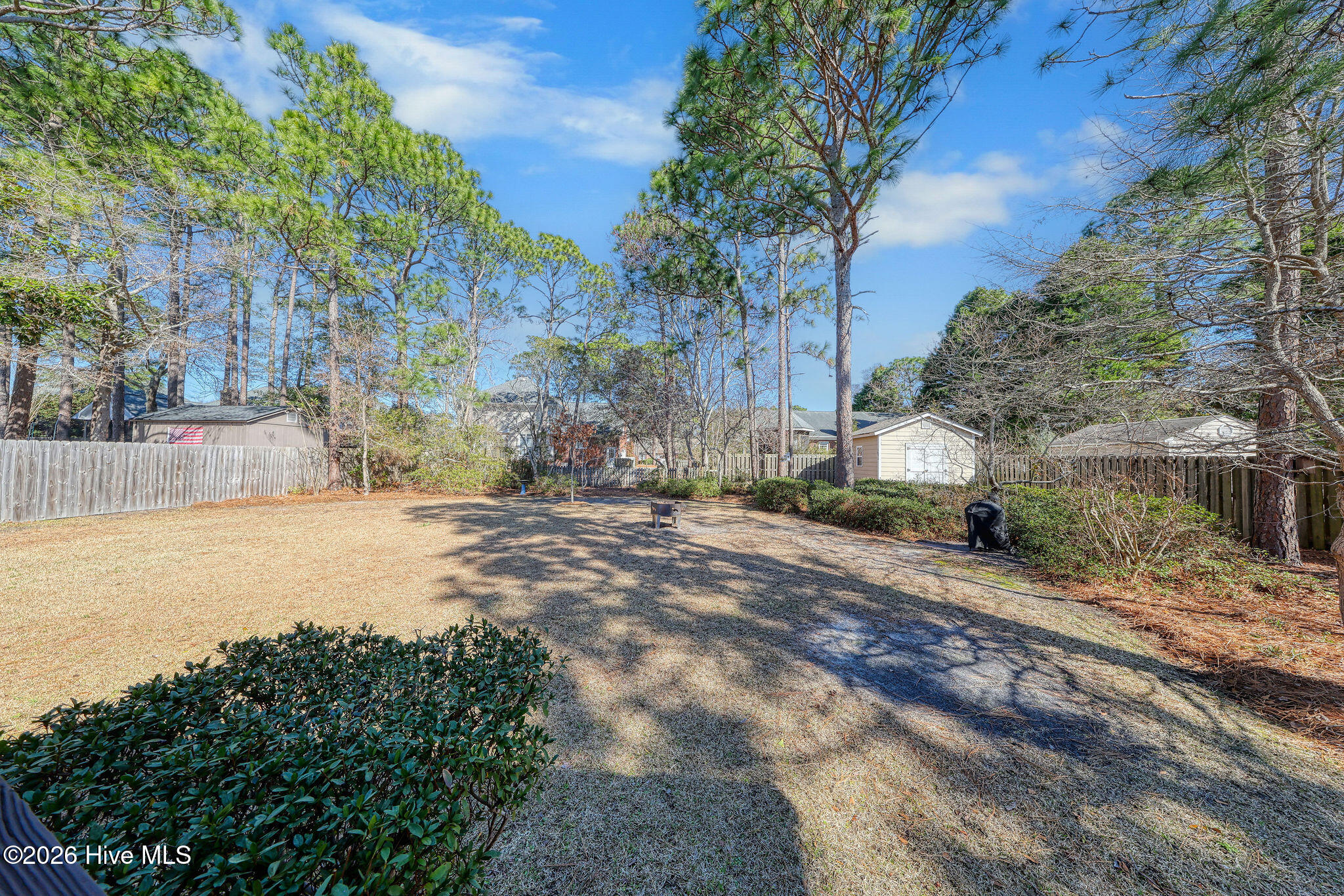 100556784 | Photo 17