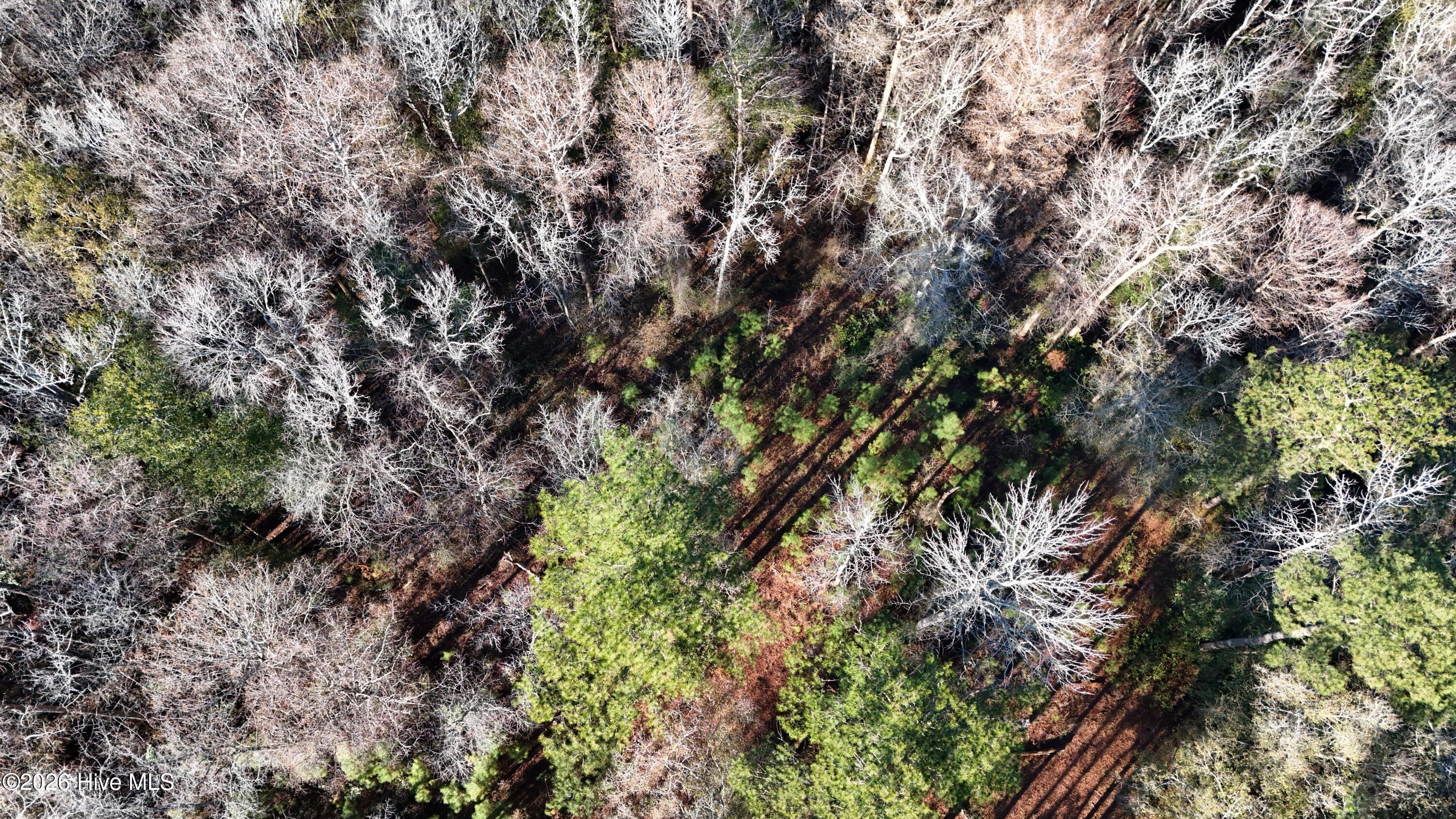 100556794 | Photo 16