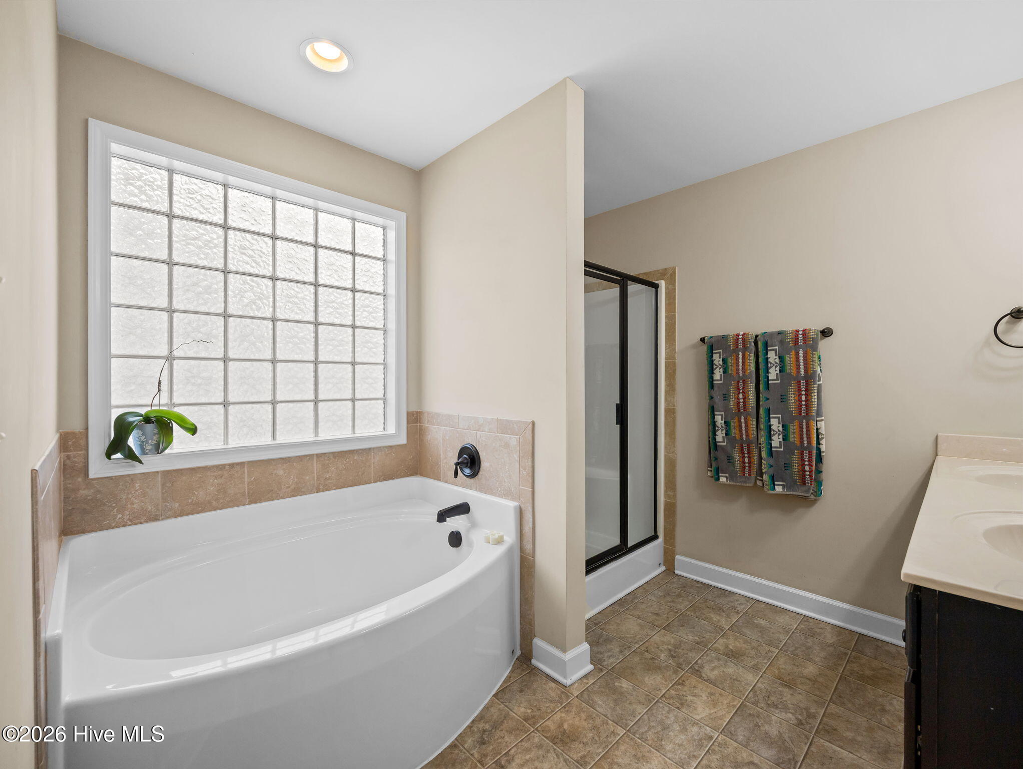 100562317 | Photo 30