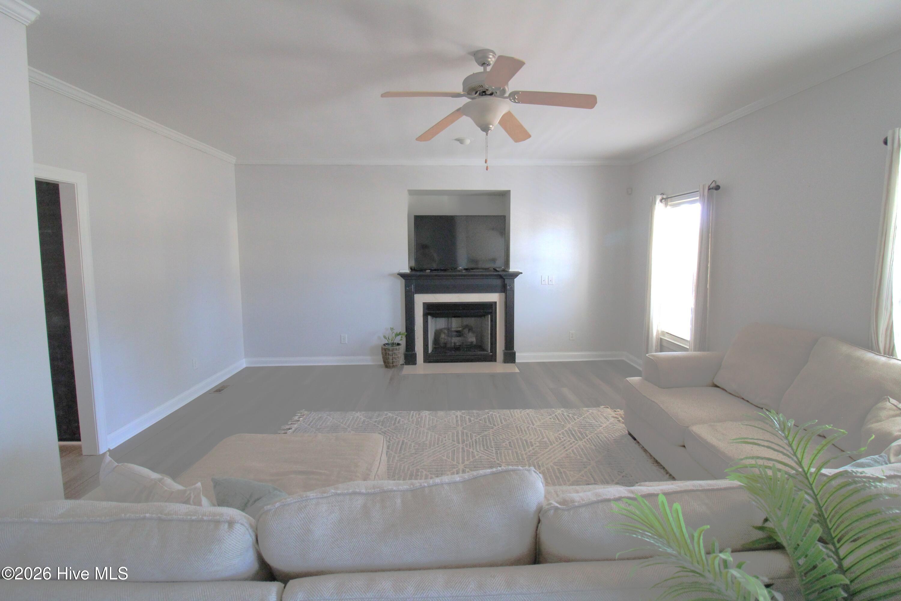 100538724 | Photo 12