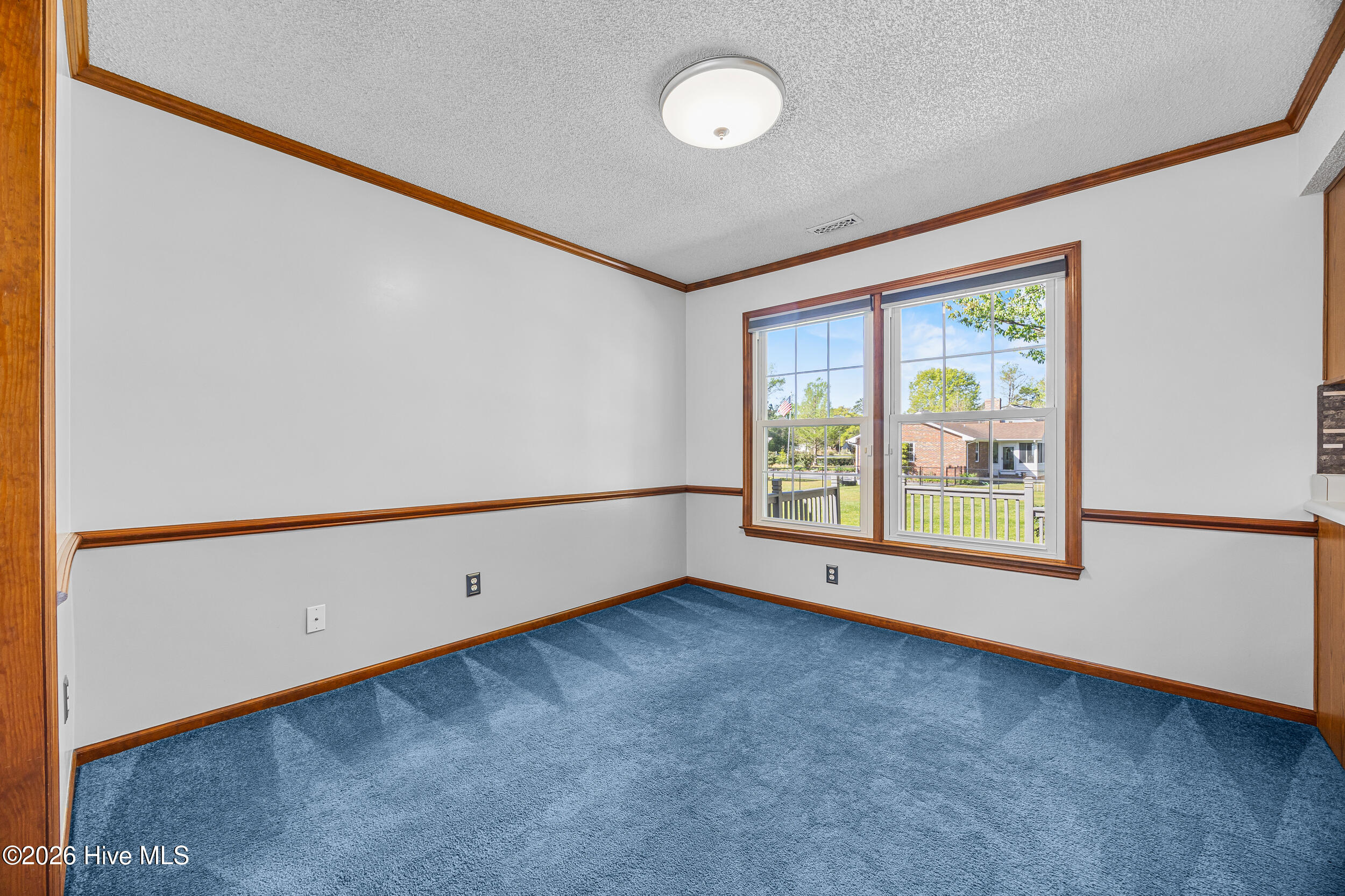 100565895 | Photo 31