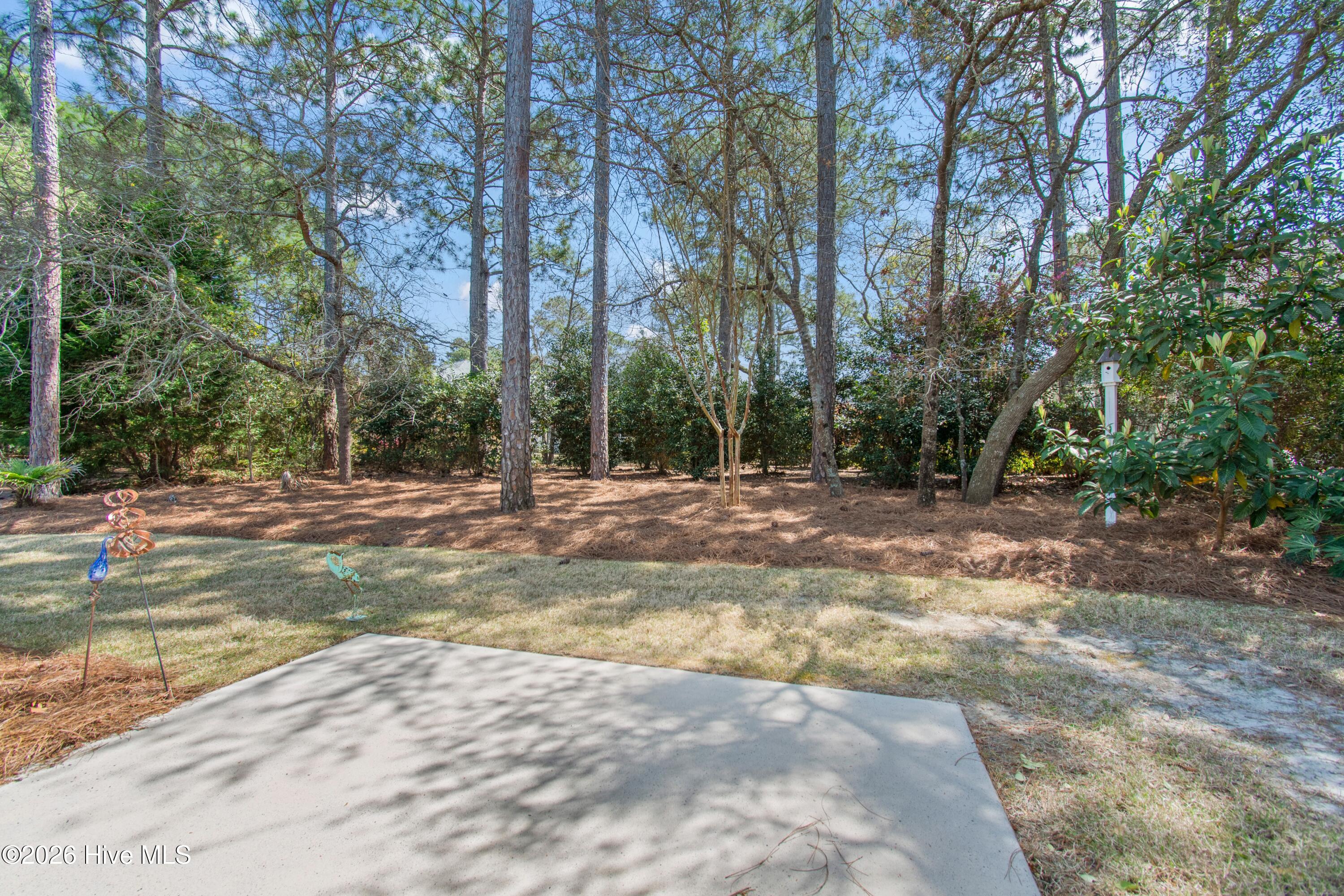 100563713 | Photo 41