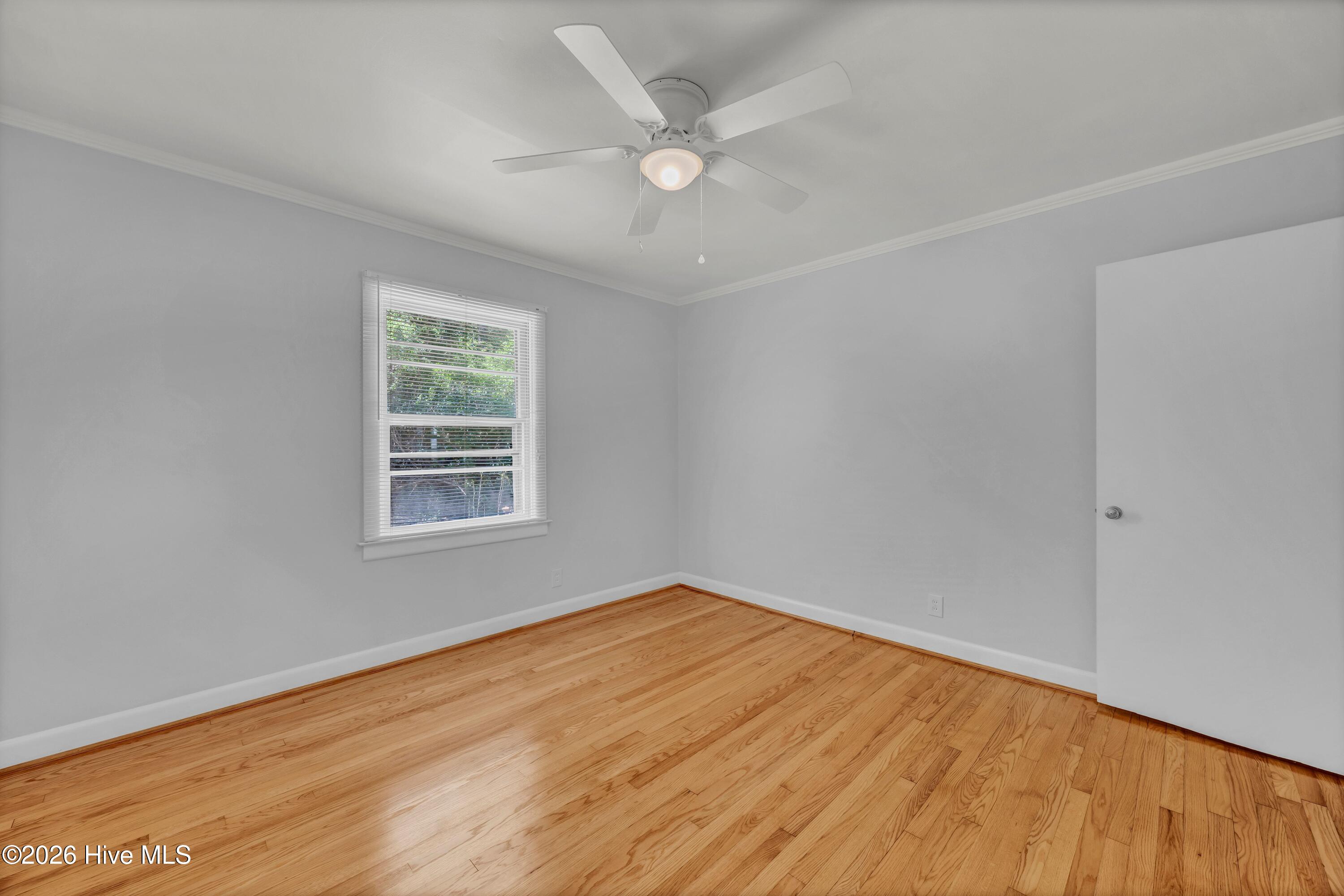 100567987 | Photo 10