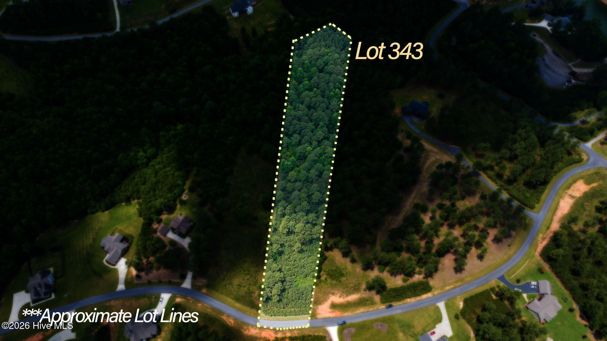 Lot 343 Loop, Blairsville, Georgia, 0 ,Residential Lot,For sale,Loop,100586110
