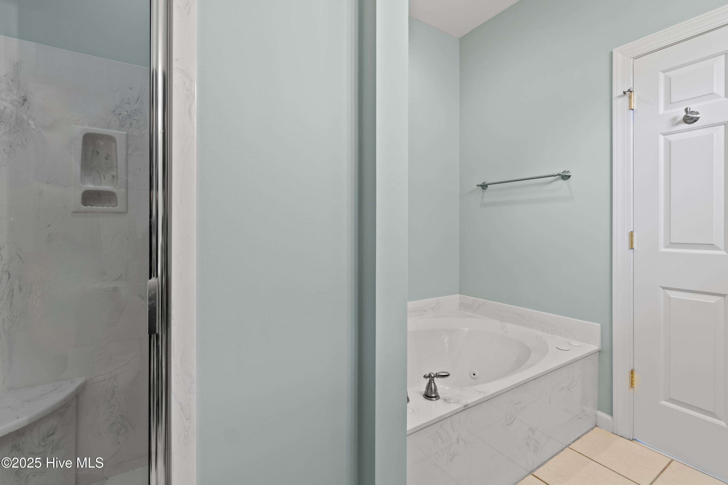 100509392 | Photo 33