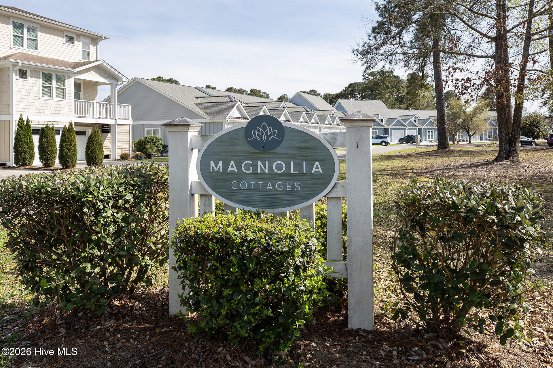 100561954 | Photo 33