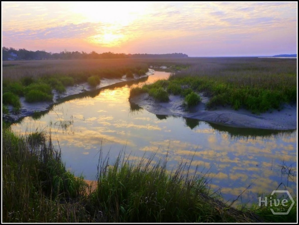 Homes for sale in Townsend, GA | Lot 230 Coopers Landind Dr Ne, Townsend, GA 31331 | MLS# SA346976