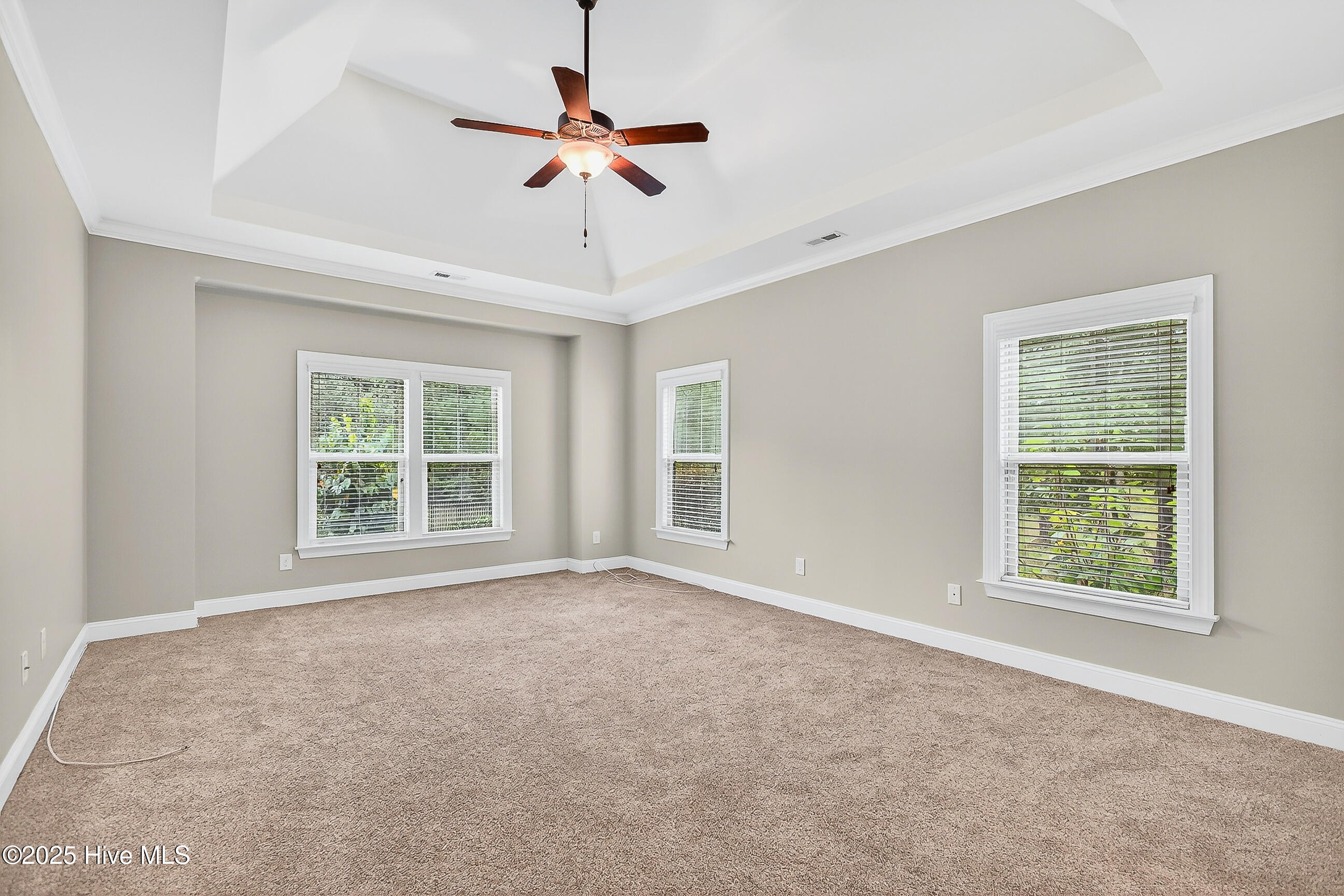 100534677 | Photo 29