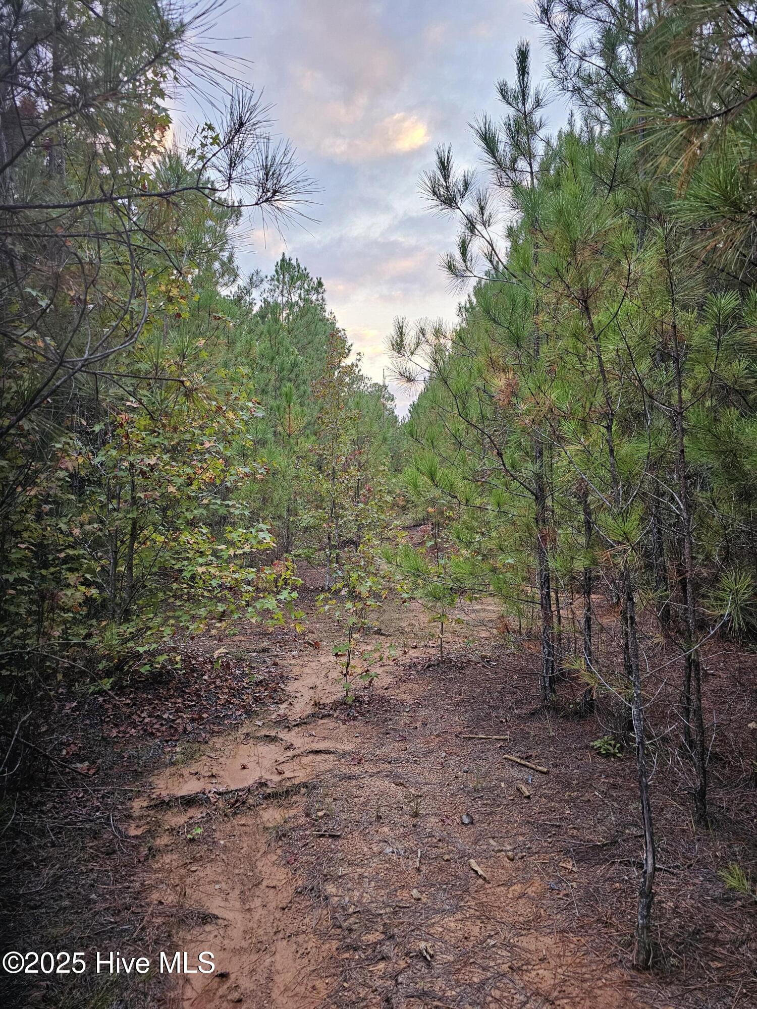 0 Carbonton Road, Sanford, NC, 27330