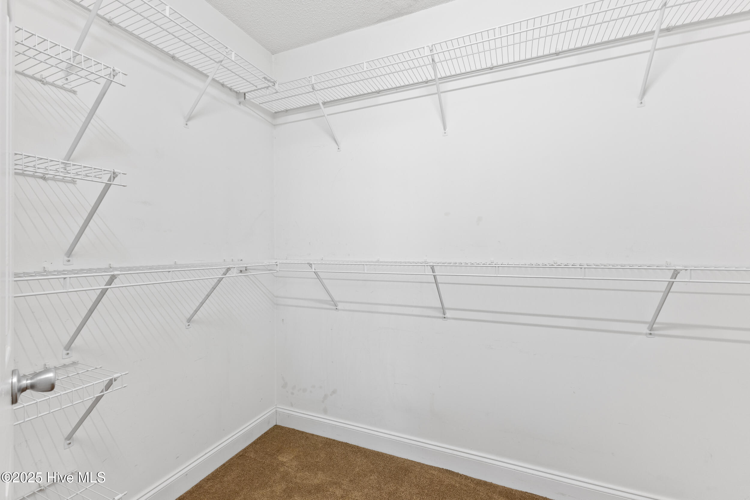 100539988 | Photo 24