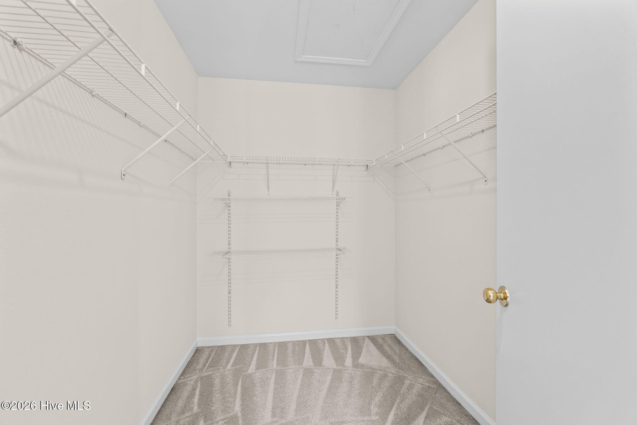 100548691 | Photo 18