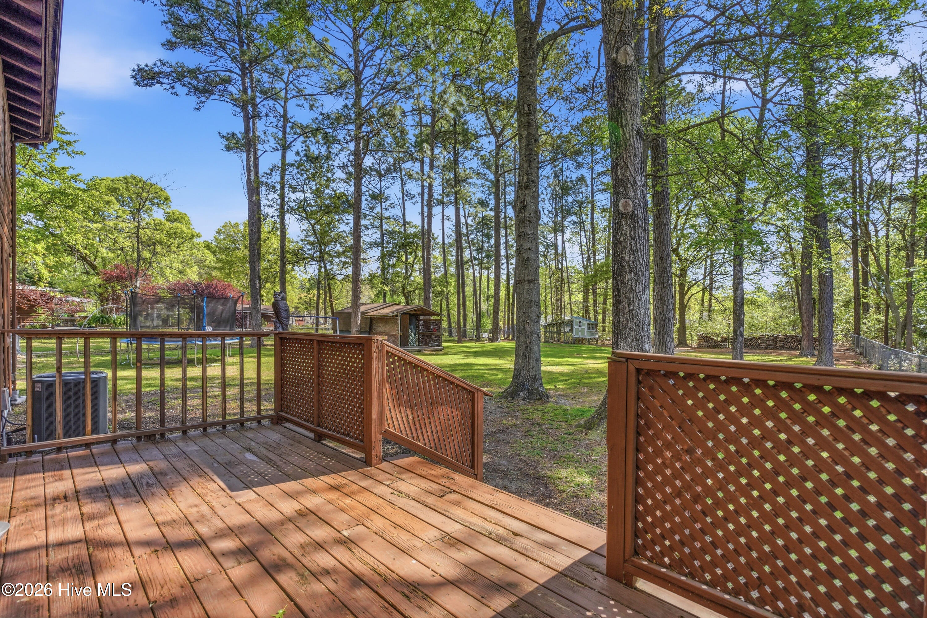 100566654 | Photo 12