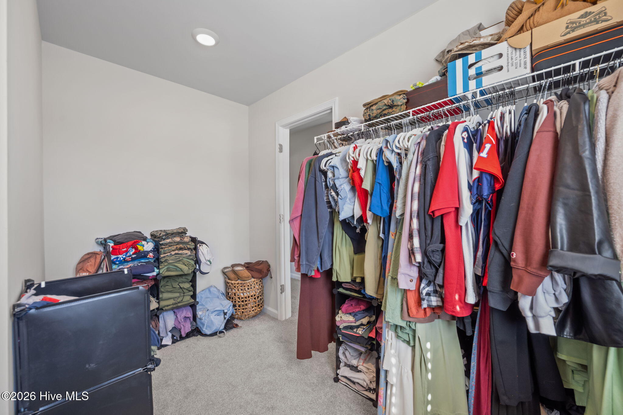 100559787 | Photo 23